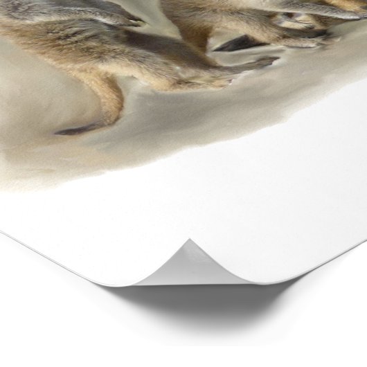 メエルカ ポスター (角)