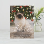 メオイエレガントクリスマス写真猫ペットホリデーカード 招待状 (スタンド正面)