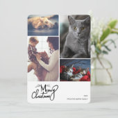 メオイクリおもしろいスマス猫カスタムをテーマにした4枚の写真 シーズンカード (スタンド正面)