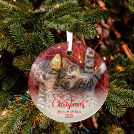 メオイクリスマス2写真おもしろい猫好き ガラスオーナメント