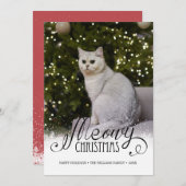 メオイモダンクリスマス写真猫ペットホリデーカード 招待状 (正面/裏面)