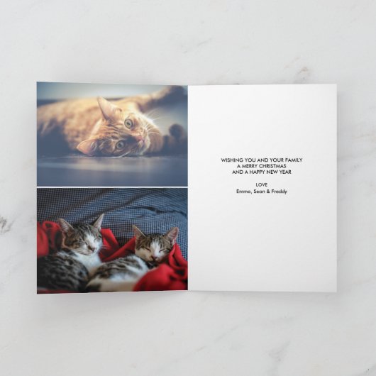 メオイ・クリスおもしろいマス猫3フォトクリスマス カード (内部)
