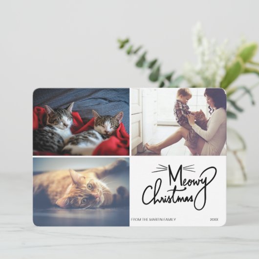メオイ・クリユニークスマス猫おもしろい3枚写真 シーズンカード (スタンド正面)