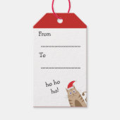 メオウィクリスマスサンタパーソナライズされたネコの名前 ギフトタグ (正面)