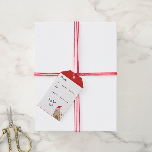 メオウィクリスマスサンタパーソナライズされたネコの名前 ギフトタグ (より糸付き)