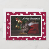 メオウィクリスマス!かわいい白い前足で猫の写真をプリント シーズンカード (正面)