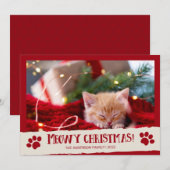 メオウィークリスマス ペット 猫 写真 クリスマスカード (正面/裏面)