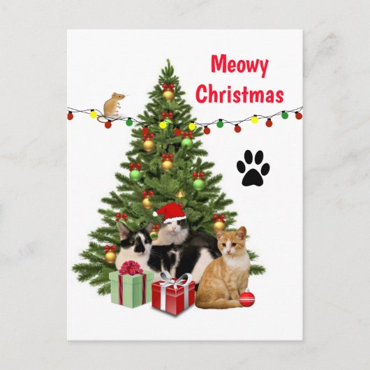 メオウィークリスマス 猫/猫好きコラージュデザイン ポストカード (正面)