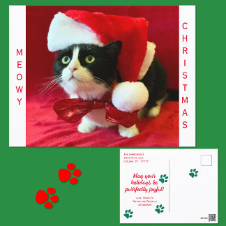 メオウィ・クリスマス テックスード・キャット シーズンポストカード