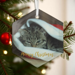 メオリークリスマス猫 ガラスオーナメント