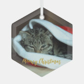 メオリークリスマス猫 ガラスオーナメント (正面)
