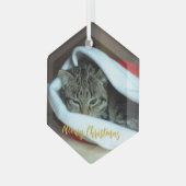 メオリークリスマス猫 ガラスオーナメント (正面左)