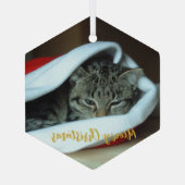 メオリークリスマス猫 ガラスオーナメント (裏面)