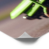 メカのバッタ ポスター (角)