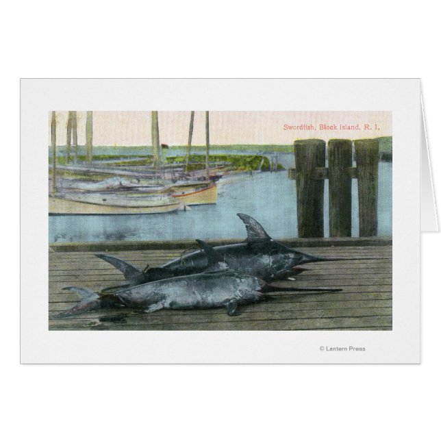 メカジキ二匹の見解 (正面横)