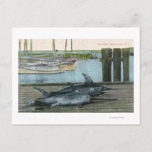 メカジキ二匹の見解 ポストカード (正面)