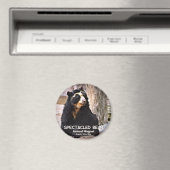 メガネクマ マグネット (インサイチュ (食洗機))