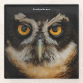 メガネフクロウの魅惑の黄金の目 ガラスコースター (正面)