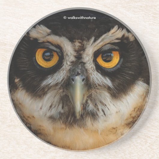 メガネフクロウの魅惑の黄金の目 コースター (正面)