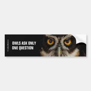 メガネフクロウの魅惑の黄金の目 バンパーステッカー