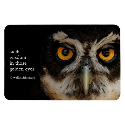 メガネフクロウの魅惑の黄金の目 マグネット (横)