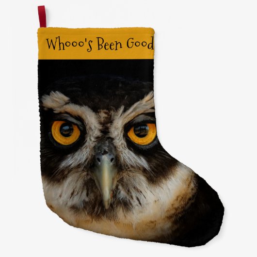 メガネフクロウの魅惑の黄金の目 ラージクリスマスストッキング (正面)