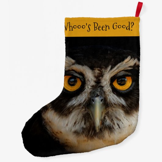 メガネフクロウの魅惑の黄金の目 ラージクリスマスストッキング (裏面)