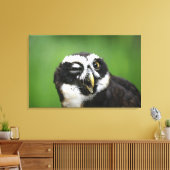 メガネフクロウ キャンバスプリント (インサイチュ (リビング))