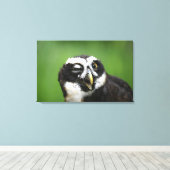 メガネフクロウ キャンバスプリント (インサイチュ (ウッドフロア))