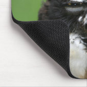 メガネフクロウ マウスパッド (コーナー)