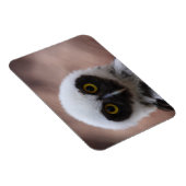 メガネフクロウ マグネット (右側)