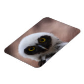 メガネフクロウ マグネット (左側)