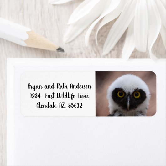 メガネフクロウ ラベル (インサイチュ)