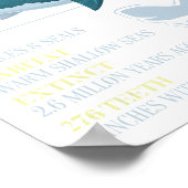 メガロドン事実メグ先史時代のサメ歯化石 ポスター (角)