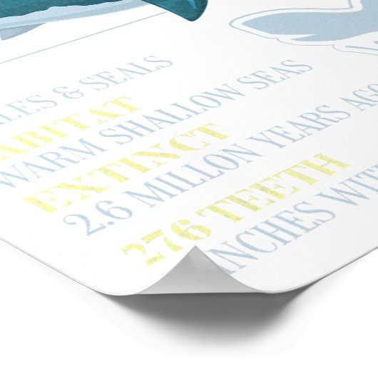 メガロドン事実メグ先史時代のサメ歯化石 ポスター (角)