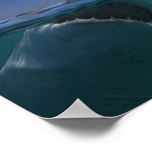 メガロドン ポスター (角)