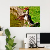 メガンザーダック ポスター (ホームオフィス)