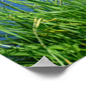 メガンザーダック ポスター (角)