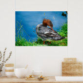 メガンザーダック ポスター (キッチン)