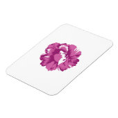 メガーリーゲ淡い色のンタ,健康王室の マグネット (左側)