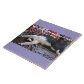 メキシおもしろいコの波の磁石がかわいいツキセド猫 タイル (側面)