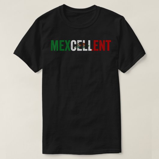 メキシおもしろいコ・エクセレント・シンコ・デ・マヨ Tシャツ (デザイン正面)