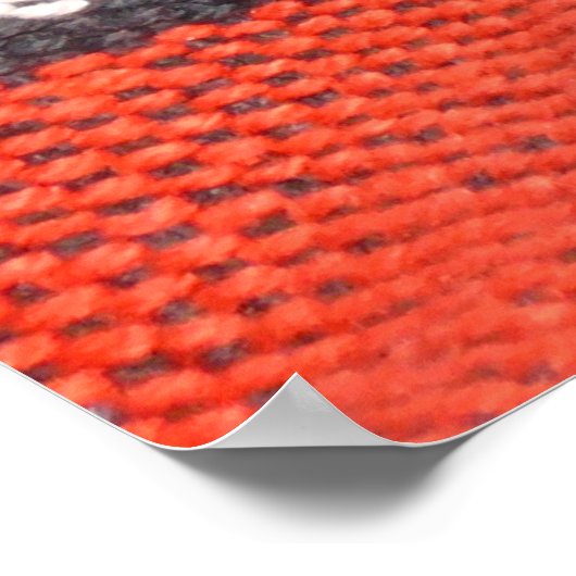 メキシカラフルコ、ペルースタイルの敷物表面を閉じる ポスター (角)