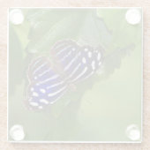 メキシカンアオイ ガラスコースター (裏面)