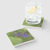 メキシカンアオイ ストーンコースター (横)