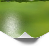 メキシカンアオイ フォトプリント            (角)