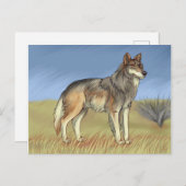 メキシカンオオカミ ポストカード (正面/裏面)