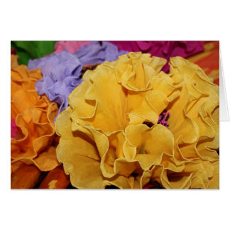 メキシカンフィエスタの花