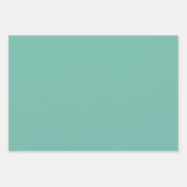 メキシカンフェスタ ラッピングペーパーシート (正面3)