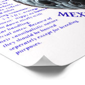 メキシカンブラックキングスネーク ポスター (角)